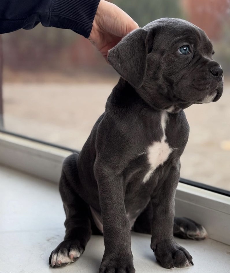 This is a beautiful girl with lovely green eyes