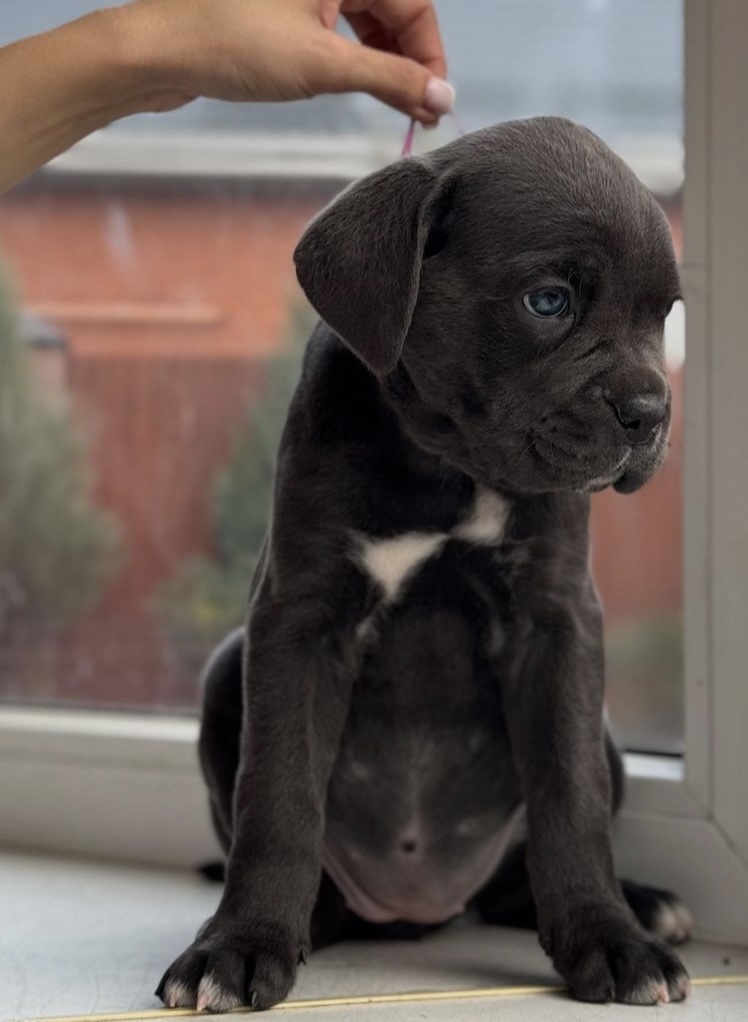 beautiful girl with white patches on all mid toes